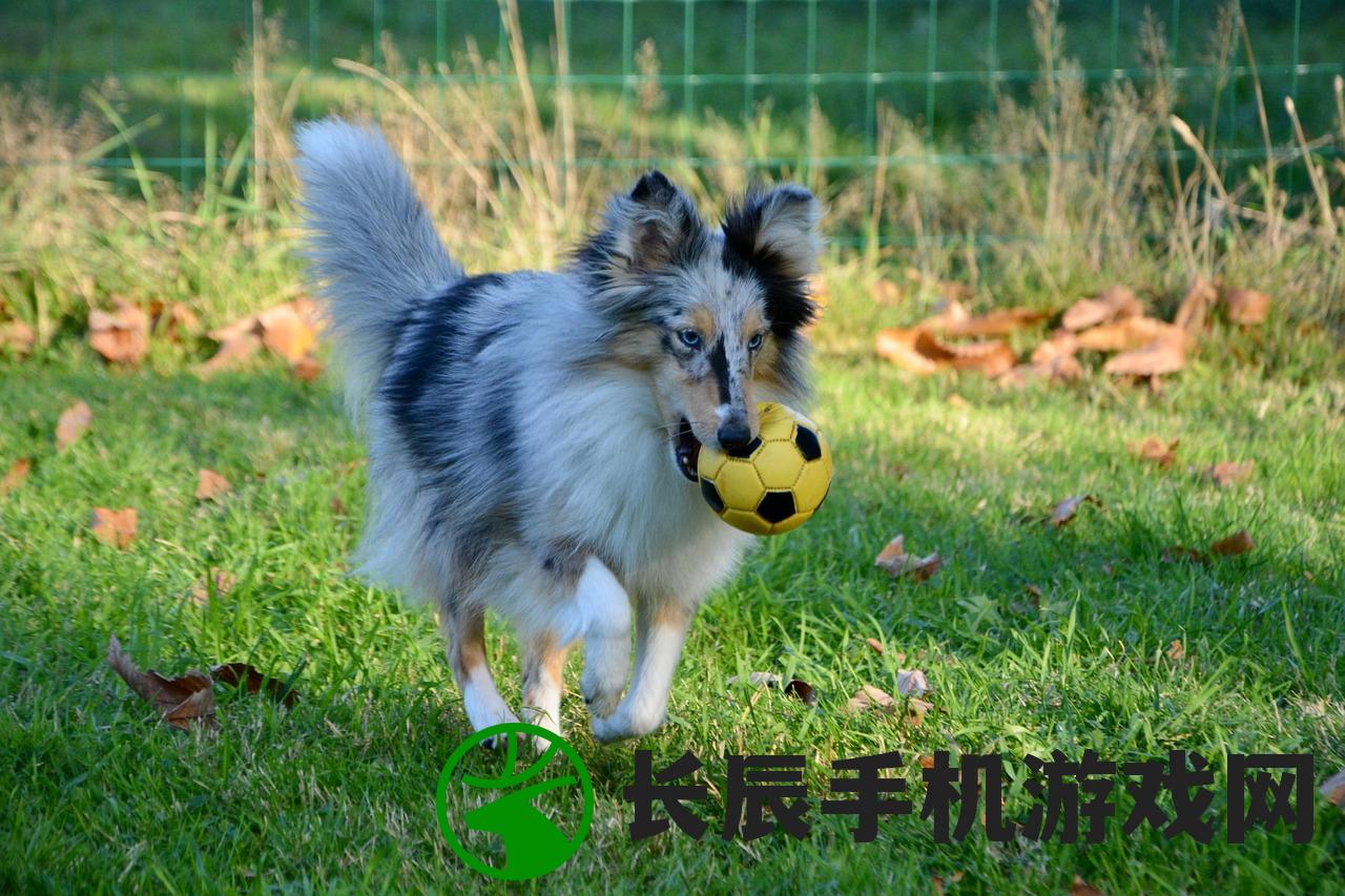 (文豪迷犬怪奇谭版号)文豪迷犬怪奇谭日版，深度解析与探索