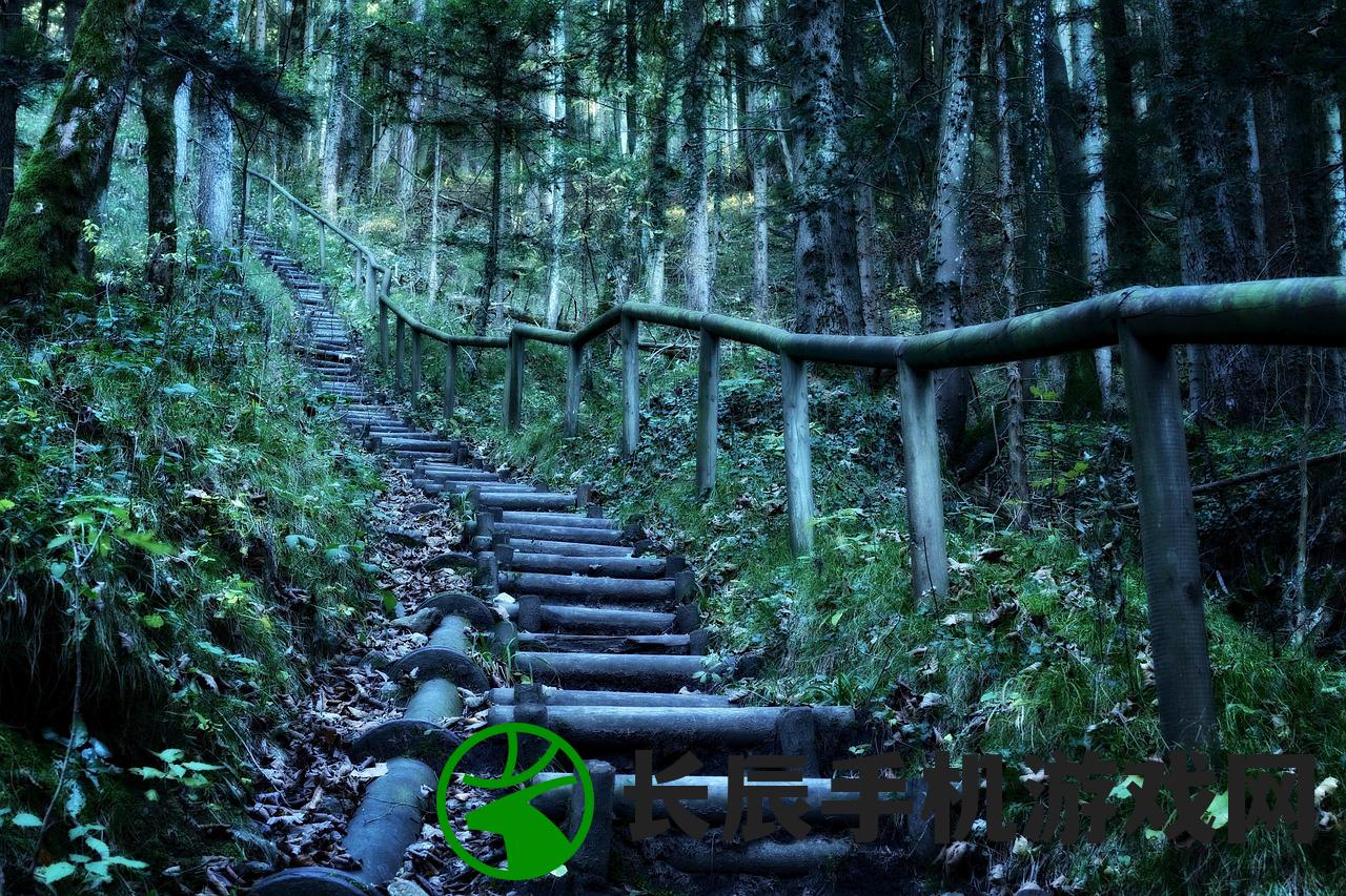 (梦幻魔法森林游戏怎么玩)梦幻魔法森林游戏，探险与奇幻之旅的交融