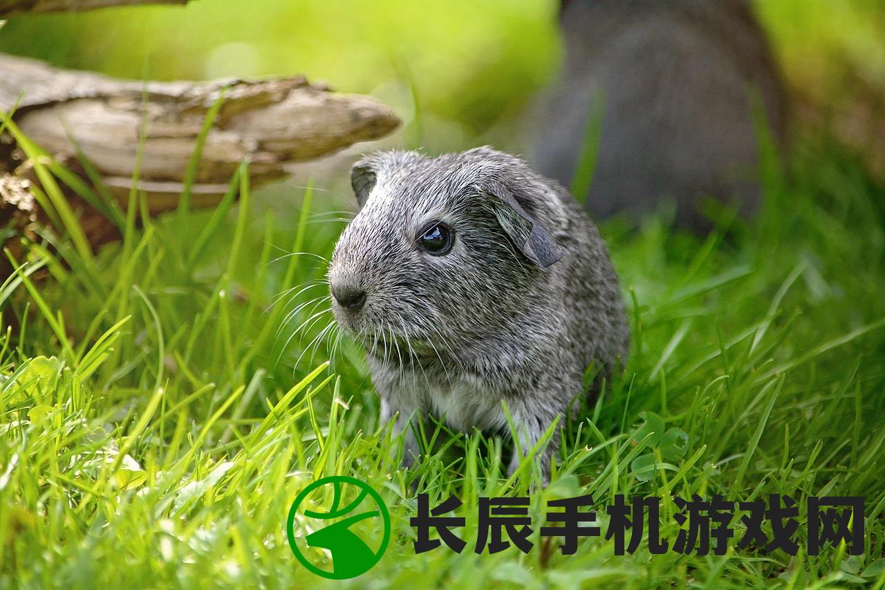 (逃离动物岛白猫番外攻略)逃离动物岛，昆虫精华的秘密探索