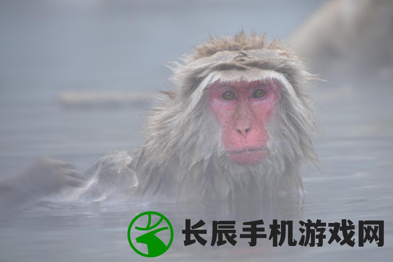 (太乙仙魔录之灵飞纪第五季什么时候播出)太乙仙魔录之灵飞纪第五季，深度解析与探讨