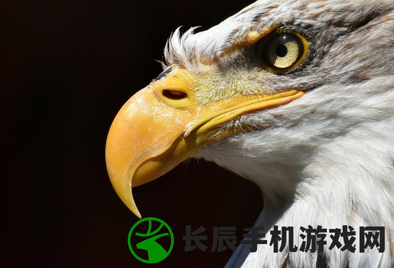 (皮宝宝进化成什么)皮宠的进化起源，神秘生物演变揭秘