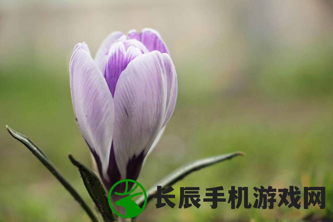 (人闲桂花落的下一句是什么诗)人闲桂花落，思绪漫无边——探寻下一句的诗意与哲理