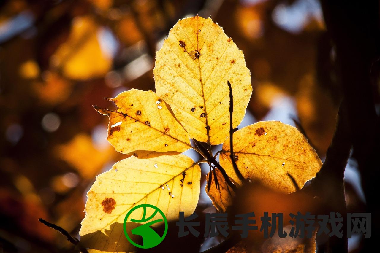 (人闲桂花落的下一句是什么诗)人闲桂花落，思绪漫无边——探寻下一句的诗意与哲理