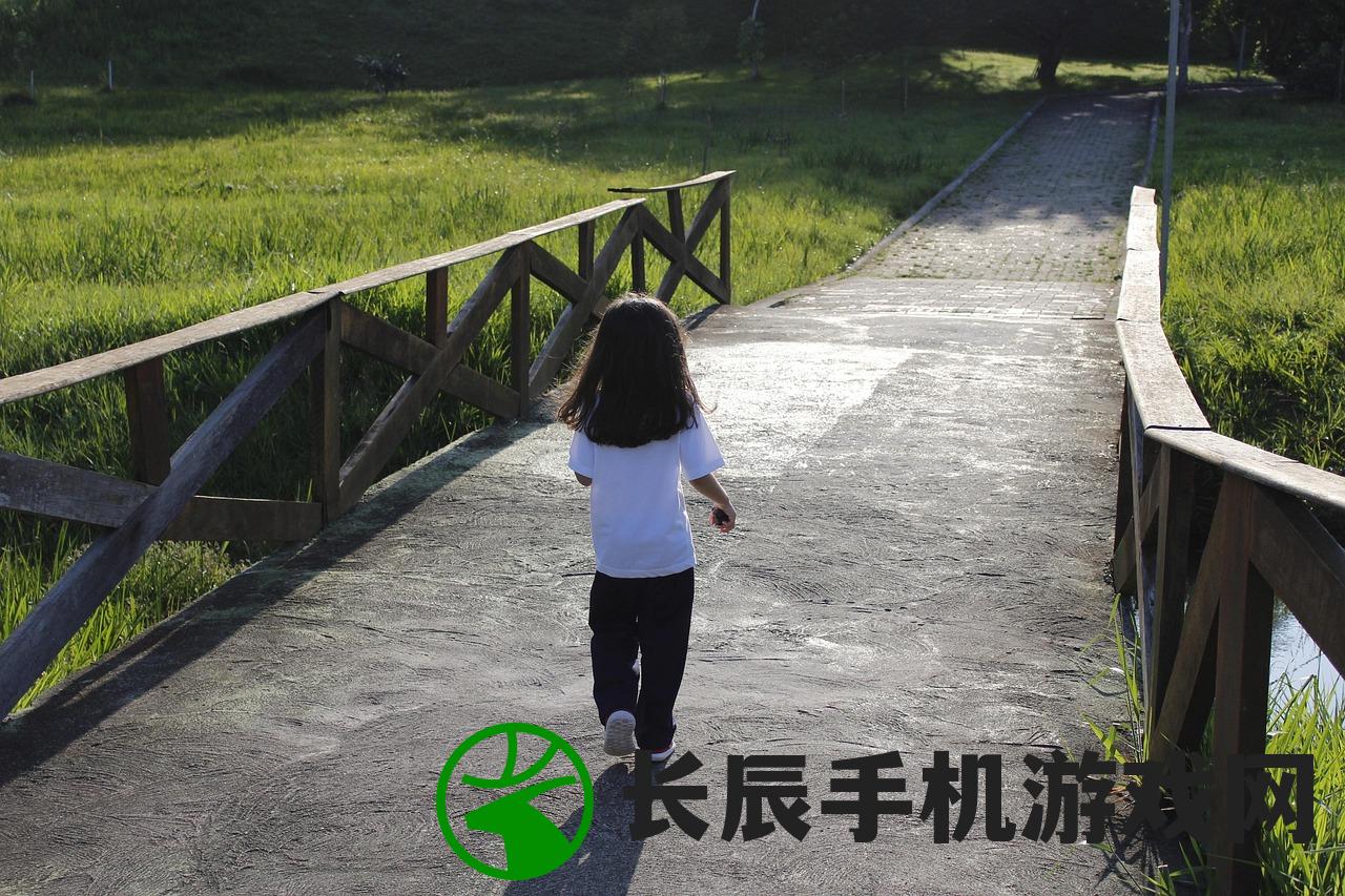 (开心搭建攻略大全)开心搭建攻略，构建快乐与创意的桥梁