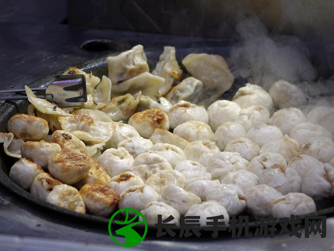 (美食大作战动画片包子)美食大作战动画片，美食与冒险的完美结合