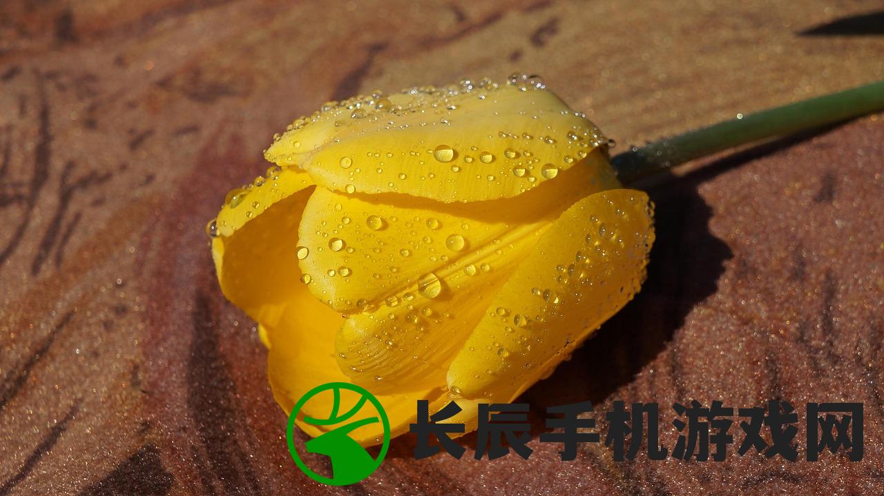 (异界情缘叶晓最新章节更新时间表)异界情缘叶晓最新章节更新动态及解析