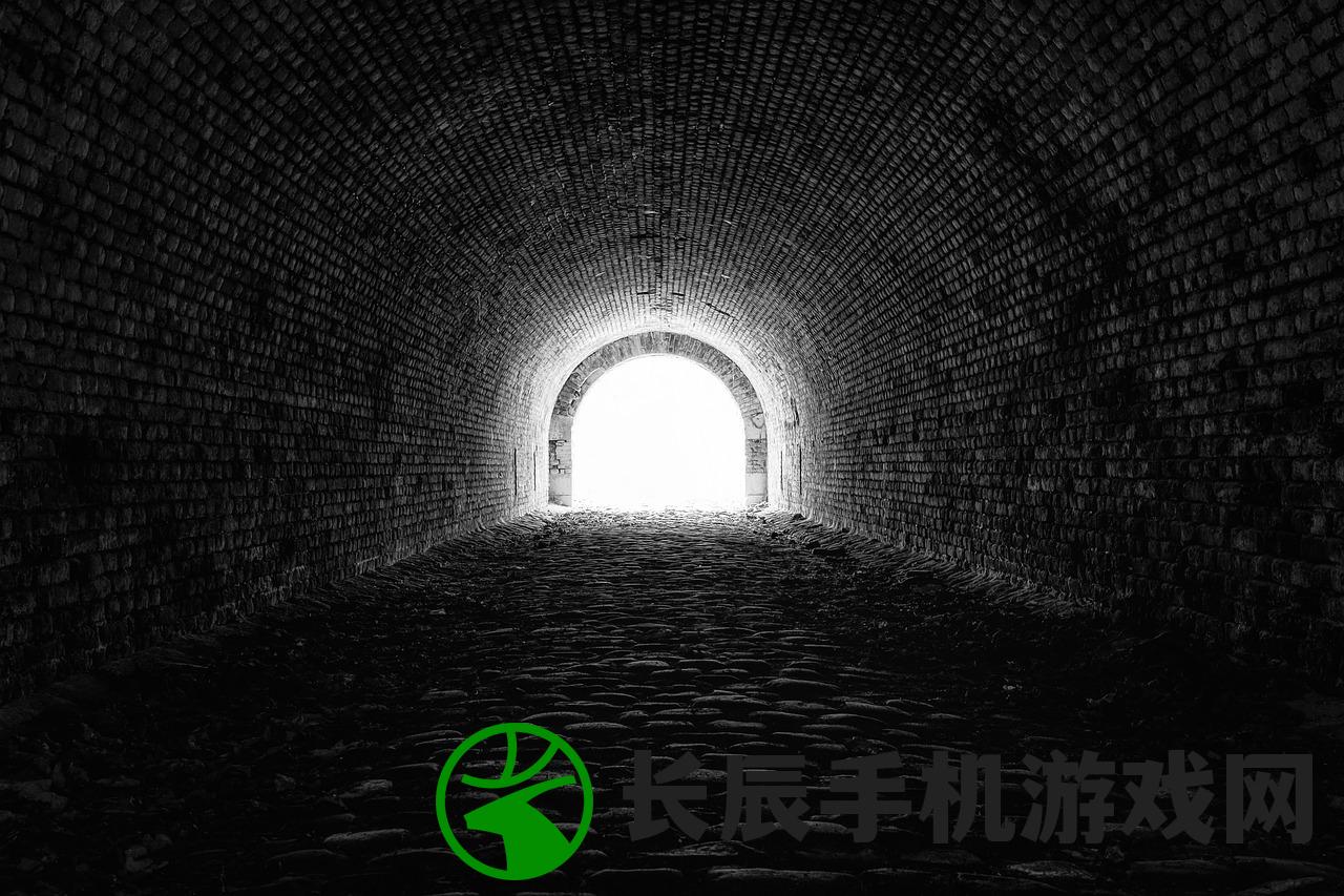 (谜影重重手游)谜影重重游戏全面攻略，探索未知世界的秘密