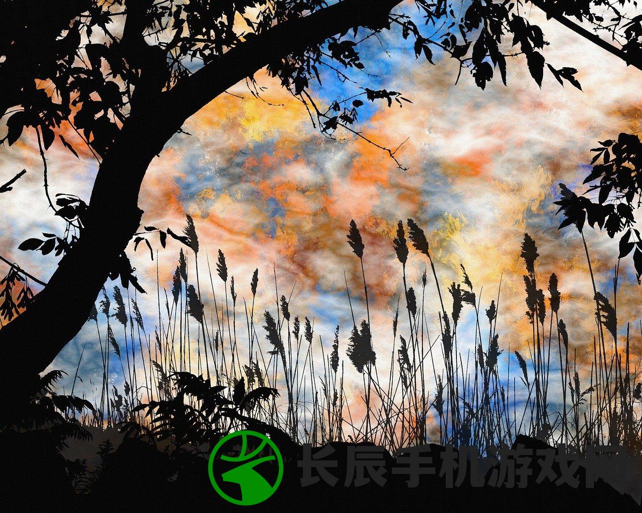 (探魂之旅最新版免费观看)探魂之旅最新版，深度体验与独特魅力