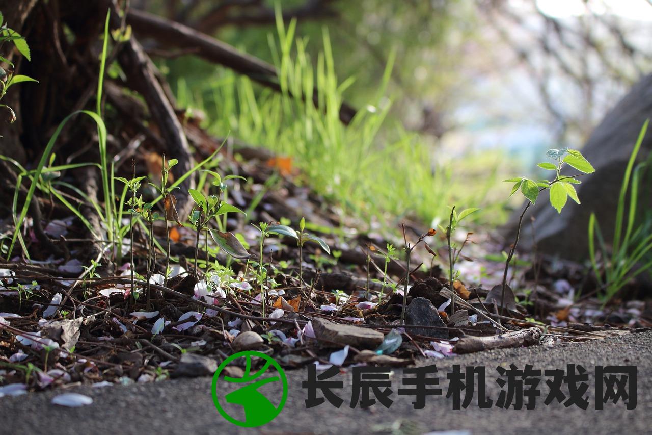 (绵羊村的恬静生活)绵羊村的恬静时光，探索时光之美的奥秘