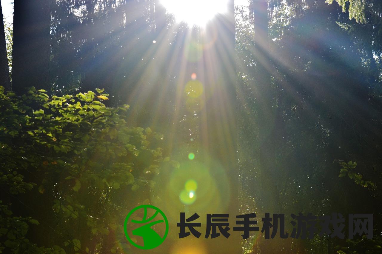 (绵羊村的恬静生活)绵羊村的恬静时光，探索时光之美的奥秘