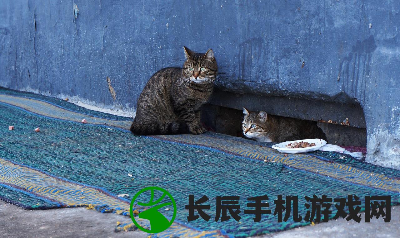 (作家喜欢养猫吗)作家与猫，一段无言的情缘
