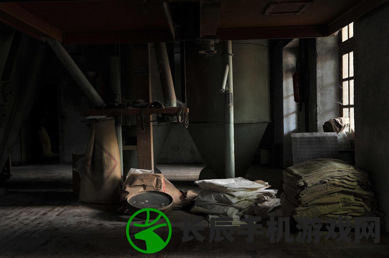(传世之光手游)传世之光游戏，探索虚拟世界的魅力与独特之处
