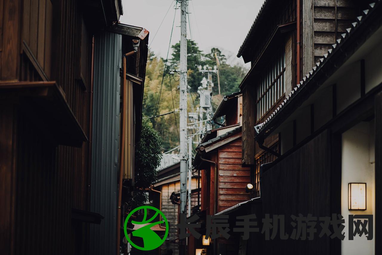 (暗之声游戏)暗之回响国际服最新动态与深度解析