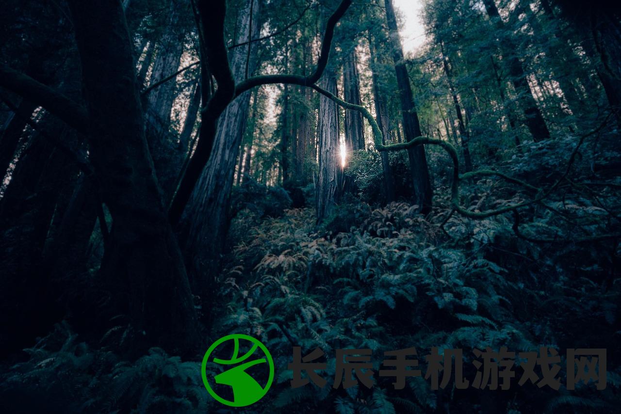 (原始传奇第一土豪攻略)原始传奇第一土豪，揭秘神秘玩家的辉煌历程与独特魅力