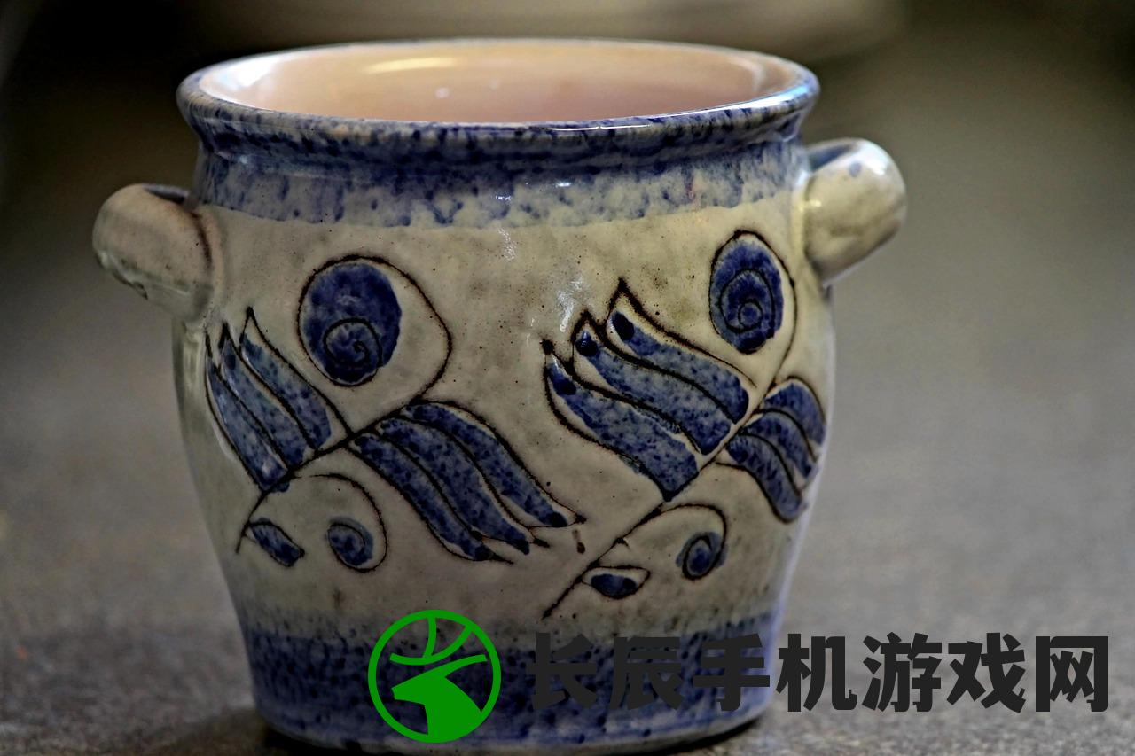 (半盏复古行新手攻略)半盏复古行关服原因深度解析