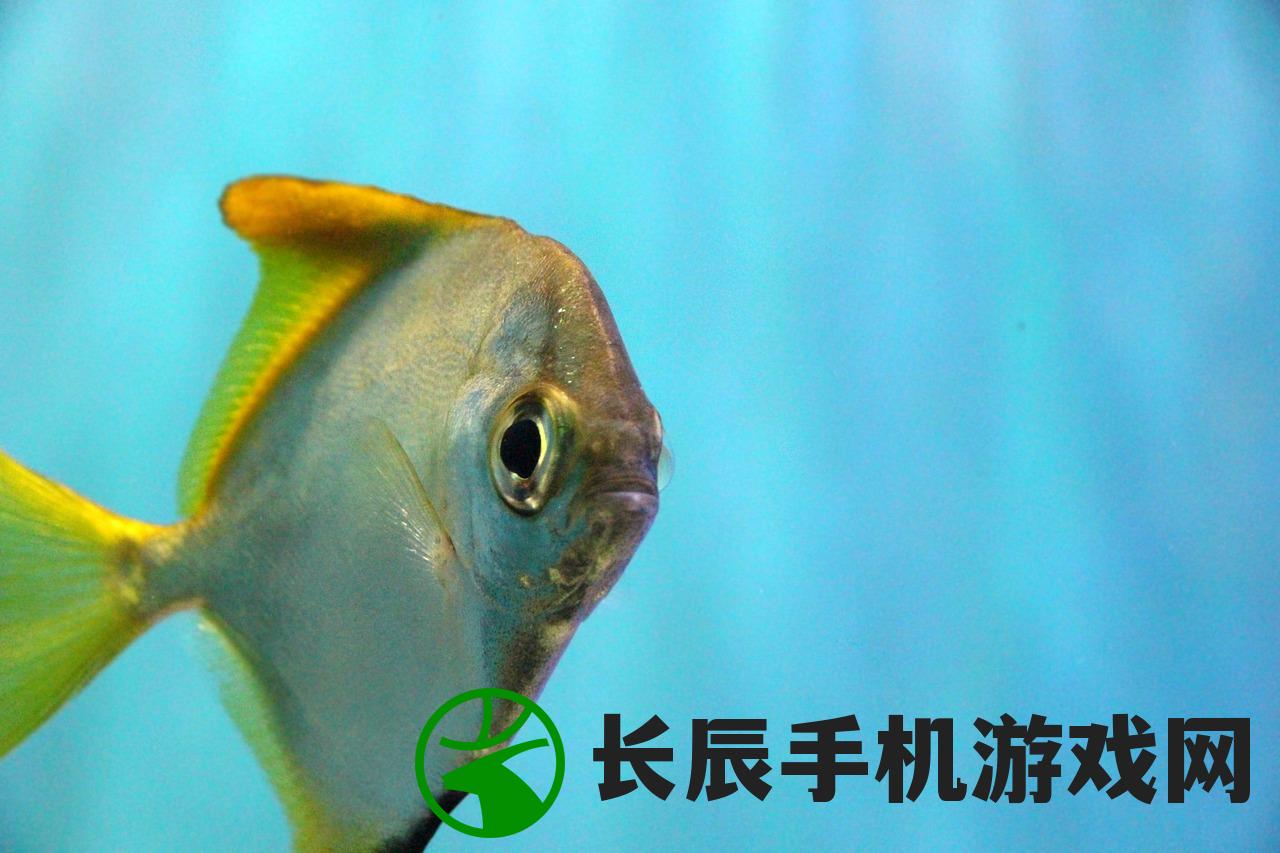 (水族馆乐园免广告版游戏)水族馆乐园免广告版，畅游海洋世界的无忧体验