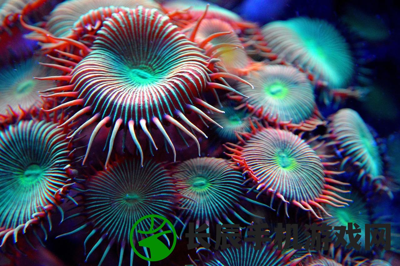 (水族馆乐园免广告版游戏)水族馆乐园免广告版，畅游海洋世界的无忧体验