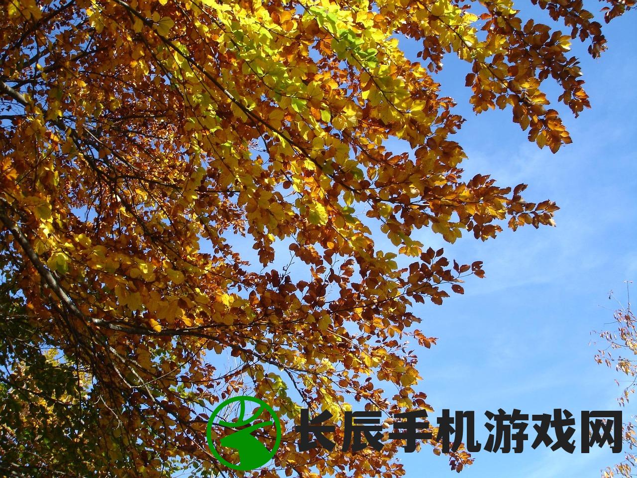 (秋之回忆10什么时候出)秋之回忆1，探索情感深处的故事