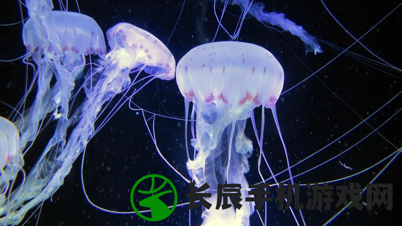 (水族馆安卓下载)水族馆乐园，无限金币无限钻石的奇幻世界探索