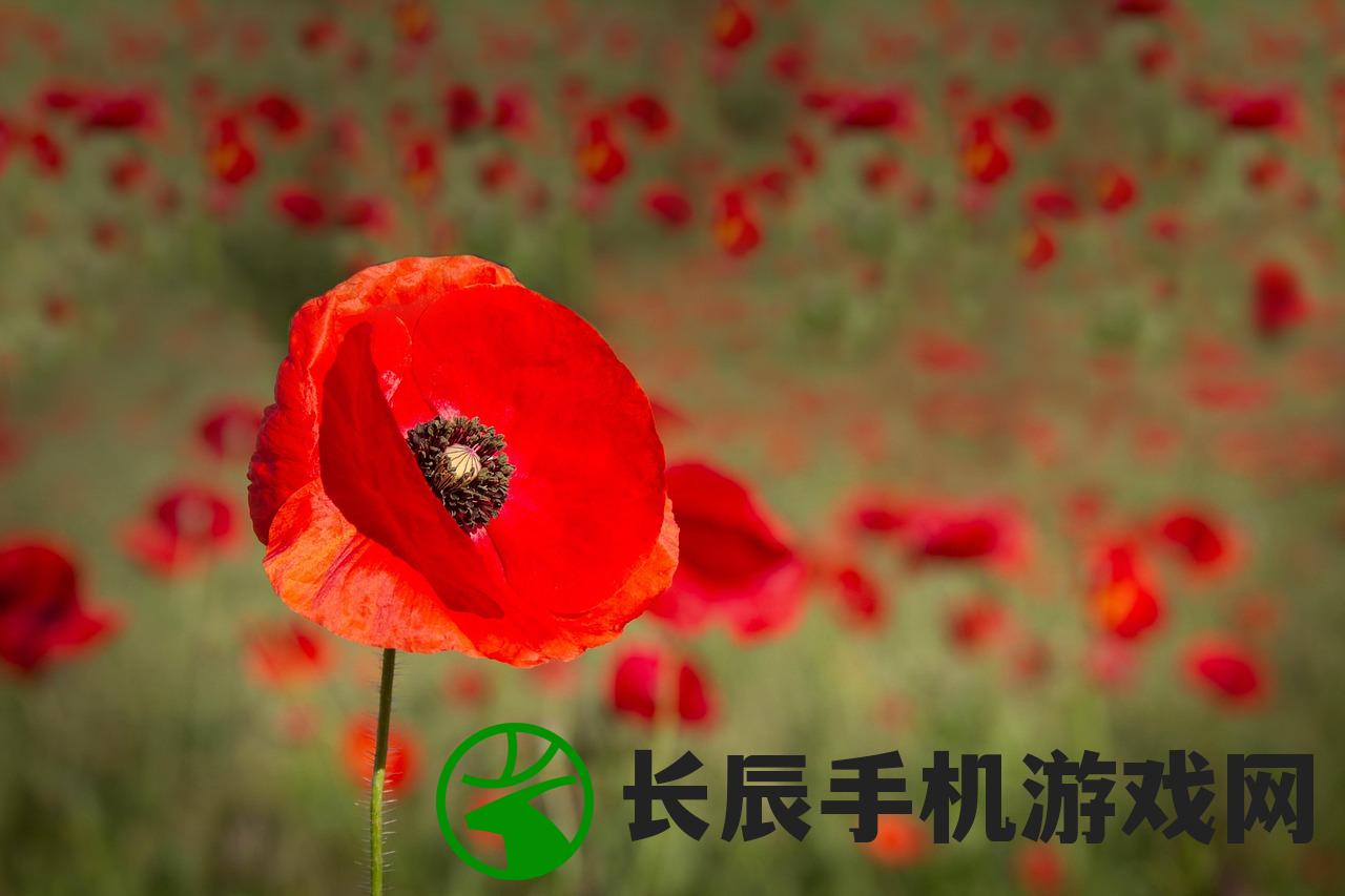 (家园如梦的意思和造句)家园如梦，一种深深的情感寄托与向往