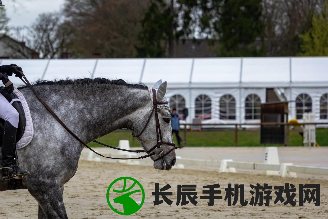 (骑走马视频)骑马走来走去捡东西的游戏，探索与解析