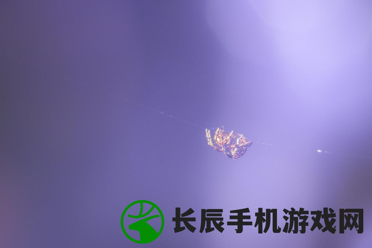 (传奇小蜘蛛下载)传奇小蜘蛛的最新动态及分析