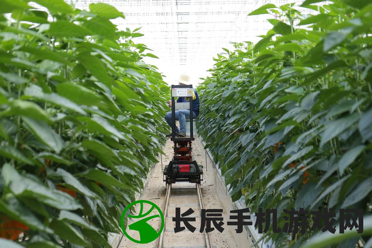 (坚果农场游戏怎么玩)坚果农场游戏，体验种植与收获的乐趣