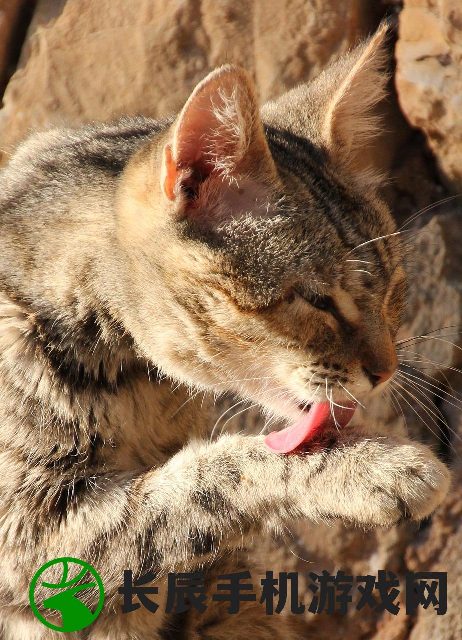 (我家有只修仙猫txt)我家猫开设的修仙中心，无限鱼干与奇幻之旅