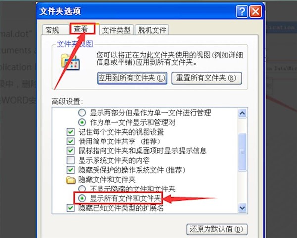 如何解决Word软件中normal.dot模板损坏的问题并进行恢复操作