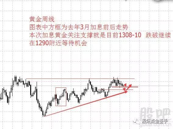 (我在仙界有块田孙富贵)在仙界富甲一方，我掌控天地 御风而行